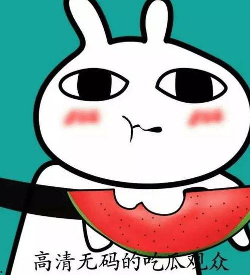 吃瓜的爱豆 第3张 吃瓜的爱豆 第3张