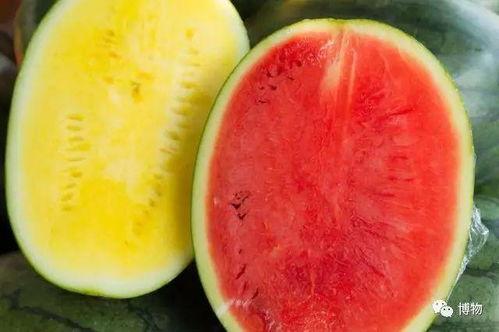 高级吃瓜,一场舌尖上的狂欢盛宴 第2张 高级吃瓜,一场舌尖上的狂欢盛宴 第2张