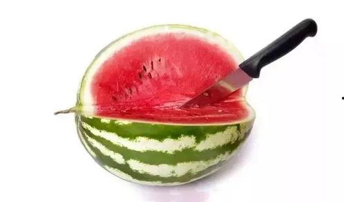 高级吃瓜,一场舌尖上的狂欢盛宴 第3张 高级吃瓜,一场舌尖上的狂欢盛宴 第3张