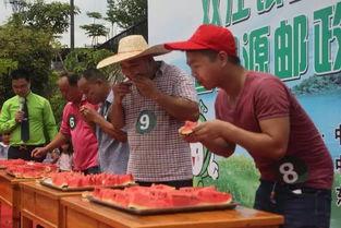 状元瓜怎么吃,解锁美味新境界 第3张 状元瓜怎么吃,解锁美味新境界 第3张