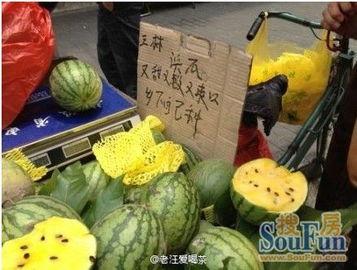 黄浦崩瓜怎么吃,解锁夏日清新美味 第1张 黄浦崩瓜怎么吃,解锁夏日清新美味 第1张