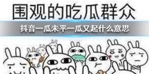 抖音吃瓜基地,热门话题背后的真相与趣味 第1张 抖音吃瓜基地,热门话题背后的真相与趣味 第1张