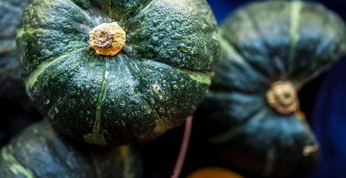 这瓜真不建议吃,这瓜真不建议食用,原因令人担忧 第2张 这瓜真不建议吃,这瓜真不建议食用,原因令人担忧 第2张