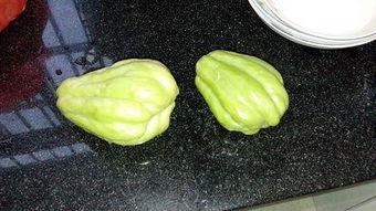 兔丸儿 吃瓜,揭秘娱乐圈那些不为人知的幕后故事 第1张 兔丸儿 吃瓜,揭秘娱乐圈那些不为人知的幕后故事 第1张