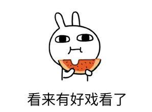 吃瓜不喝酒,畅享无酒生活