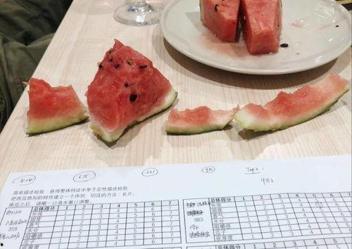 五百多万粉丝吃瓜,吃瓜狂欢，揭秘娱乐圈幕后风云