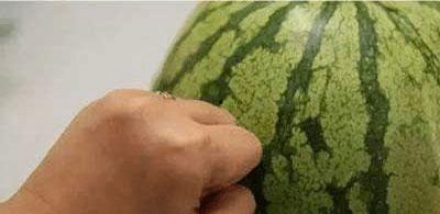 喝瓜前和吃瓜后,揭秘吃瓜群众的奇妙转变