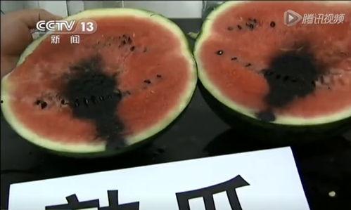 吃瓜爆笑图文,爆笑图文带你领略欢乐瞬间  第3张