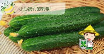 吃瓜配视频,轻松娱乐新潮流 第2张 吃瓜配视频,轻松娱乐新潮流 第2张