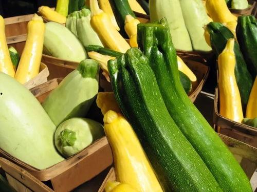 深圳带你吃瓜,跟随“带你吃瓜”的脚步，解锁城市味蕾之旅  第1张