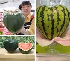 深圳带你吃瓜,跟随“带你吃瓜”的脚步，解锁城市味蕾之旅  第3张