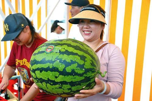 吃瓜快乐网,吃瓜快乐网带你畅游八卦盛宴  第2张