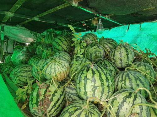 西安工业吃瓜,吃瓜群众眼中的热辣焦点