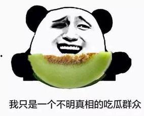 真吃瓜群众这瓜根本吃不完  第3张