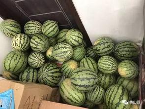 吃瓜群柳州,揭秘当地美食文化趣闻 第1张 吃瓜群柳州,揭秘当地美食文化趣闻 第1张