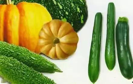 盐官吃瓜,吃瓜群众的狂欢时光