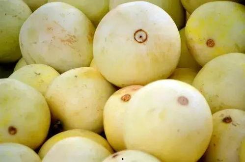 吃瓜阿梨 第1张 吃瓜阿梨 第1张