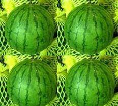 吃凤瓜,探寻夏日清新口感 第2张 吃凤瓜,探寻夏日清新口感 第2张