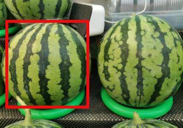 热闻吃瓜,揭秘娱乐圈最新热点事件 第3张 热闻吃瓜,揭秘娱乐圈最新热点事件 第3张