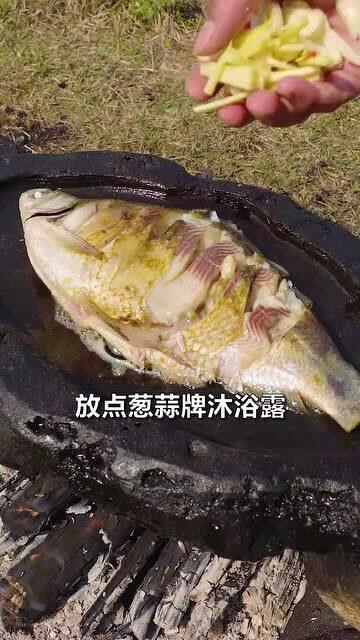 吃瓜之鱼,揭秘网络热议背后的真相与趣味  第1张