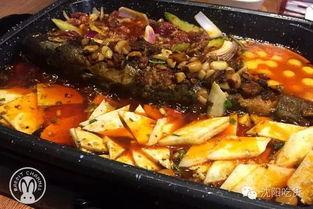 吃瓜之鱼,揭秘网络热议背后的真相与趣味  第3张