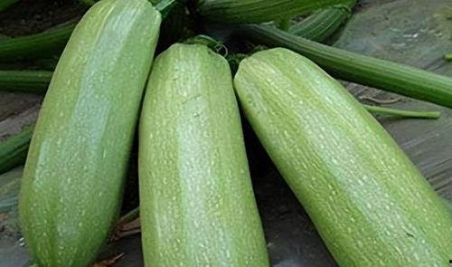 天润吃瓜,揭秘娱乐圈背后的那些事儿 第3张 天润吃瓜,揭秘娱乐圈背后的那些事儿 第3张