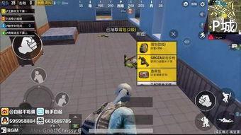 极速悖论吃瓜,揭秘吃瓜群众的狂欢与困惑