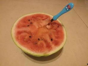 商丘一学校吃瓜,揭秘校园里的那些“瓜”