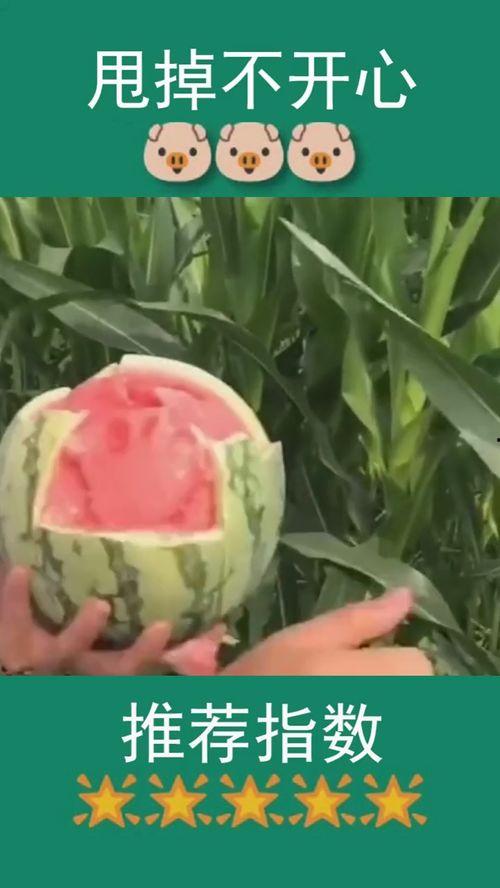 沙雕吃瓜图 第1张 沙雕吃瓜图 第1张