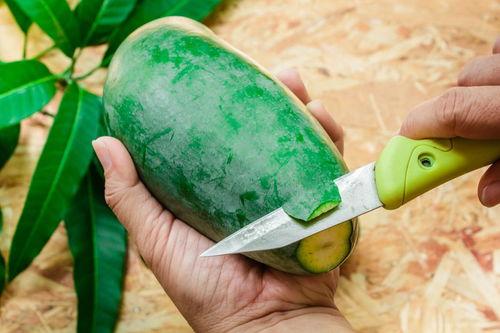 湖南美术专升本吃瓜,吃瓜群众揭秘艺术类专升本那些事儿 第3张 湖南美术专升本吃瓜,吃瓜群众揭秘艺术类专升本那些事儿 第3张