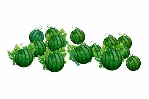 阿靖吃瓜,揭秘娱乐圈那些不为人知的幕后故事  第2张