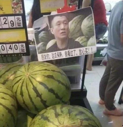 365雷哥吃瓜,揭秘娱乐圈那些不为人知的幕后故事