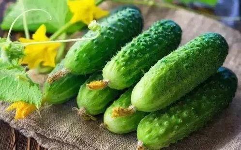 井瓜怎么吃最营养,解锁健康美味新方式