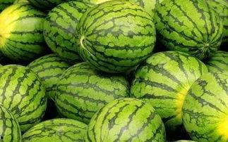 吃瓜大赛显眼包,一场视觉盛宴与趣味横生的较量