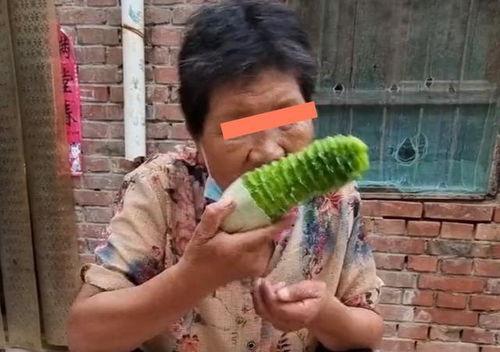 给老奶奶吃瓜,给老奶奶送瓜的温馨瞬间 第1张 给老奶奶吃瓜,给老奶奶送瓜的温馨瞬间 第1张