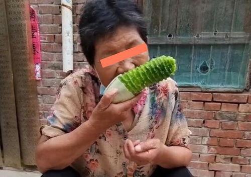 给老奶奶吃瓜,给老奶奶送瓜的温馨瞬间 第2张 给老奶奶吃瓜,给老奶奶送瓜的温馨瞬间 第2张