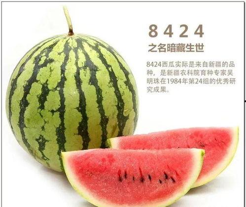 安徽琴儿吃瓜,揭秘网络红人的日常生活