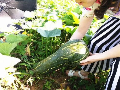 吃囊瓜有什么好处