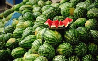 吃瓜篓子胖吗,揭秘瓜果零食与体重管理的微妙关系