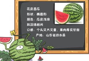 吃瓜歌拼读,吃瓜歌里的趣味拼读之旅