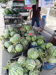 合肥滨湖吃瓜事件,一场引发热议的街头冲突