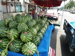 合肥滨湖吃瓜事件,一场引发热议的街头冲突