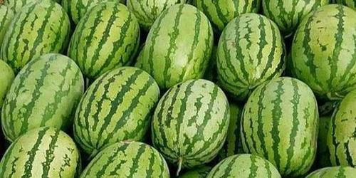 合肥滨湖吃瓜事件,一场引发热议的街头冲突