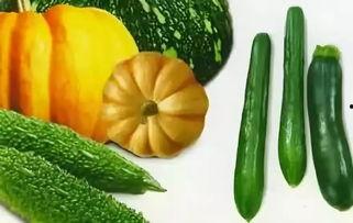 夏天吃瓜指的是什么瓜,揭秘“夏天吃瓜”的瓜类奥秘