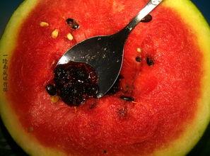 带你吃瓜奇葩古物,带你领略古物中的“吃瓜”文化