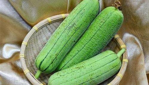 水瓜常吃,健康生活新选择