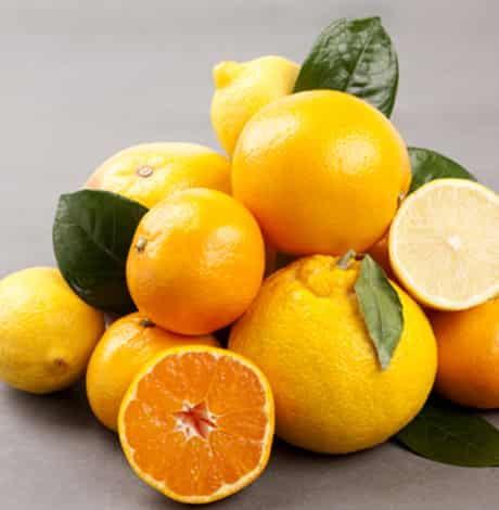 肾移植后吃瓜,健康生活新篇章