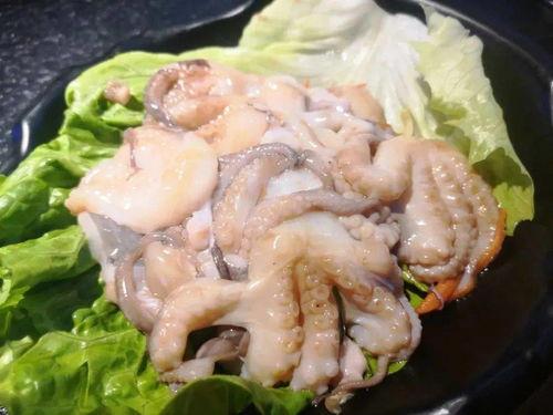 八爪鱼吃瓜,揭秘海洋生物的趣味食性