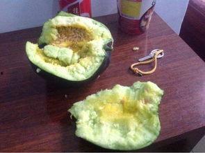 以前不吃瓜现在吃瓜,我的观网变迁之旅