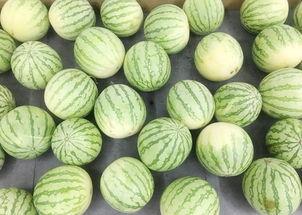 吃瓜真有料  第3张